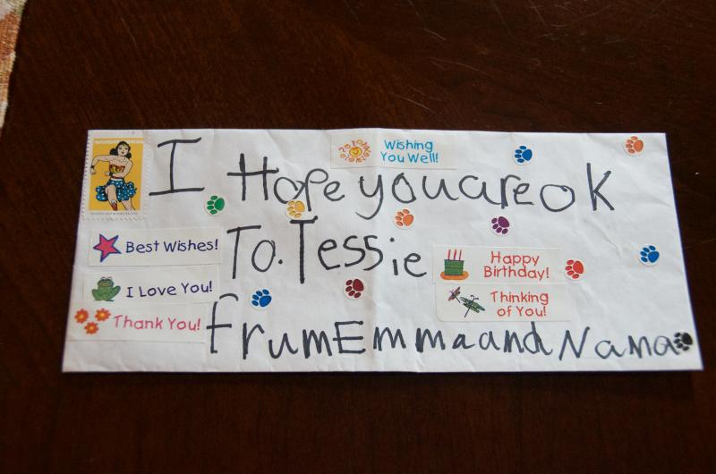 Emma wrote a letter, included dog treats and decorated the envelope before sending it to the North Pole. ARTWORK BY EMMA KENDRIGAN